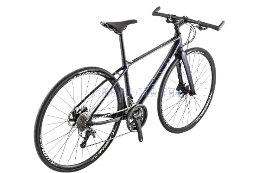 Xe đạp Touring LIV AIMEZ SL 1 2019