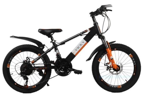 Xe Đạp Cho Bé 20 Inch Vicky Có Đề Vic120D 2 Xe Đạp Cho Bé 20 Inch Vicky Có Đề Vic120D