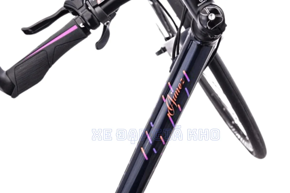 Xe đạp Touring LIV AIMEZ SL 1 2019