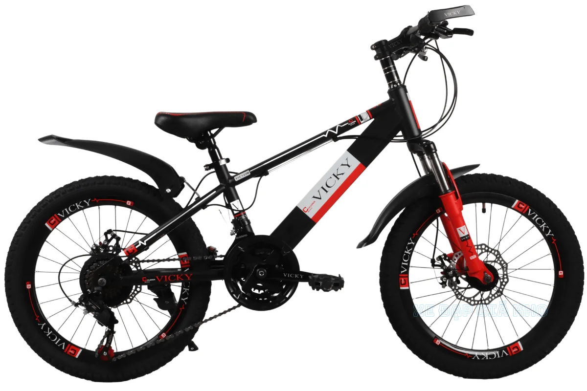 Xe Đạp Cho Bé 20 Inch Vicky Có Đề Vic120D 1 Xe Đạp Cho Bé 20 Inch Vicky Có Đề Vic120D