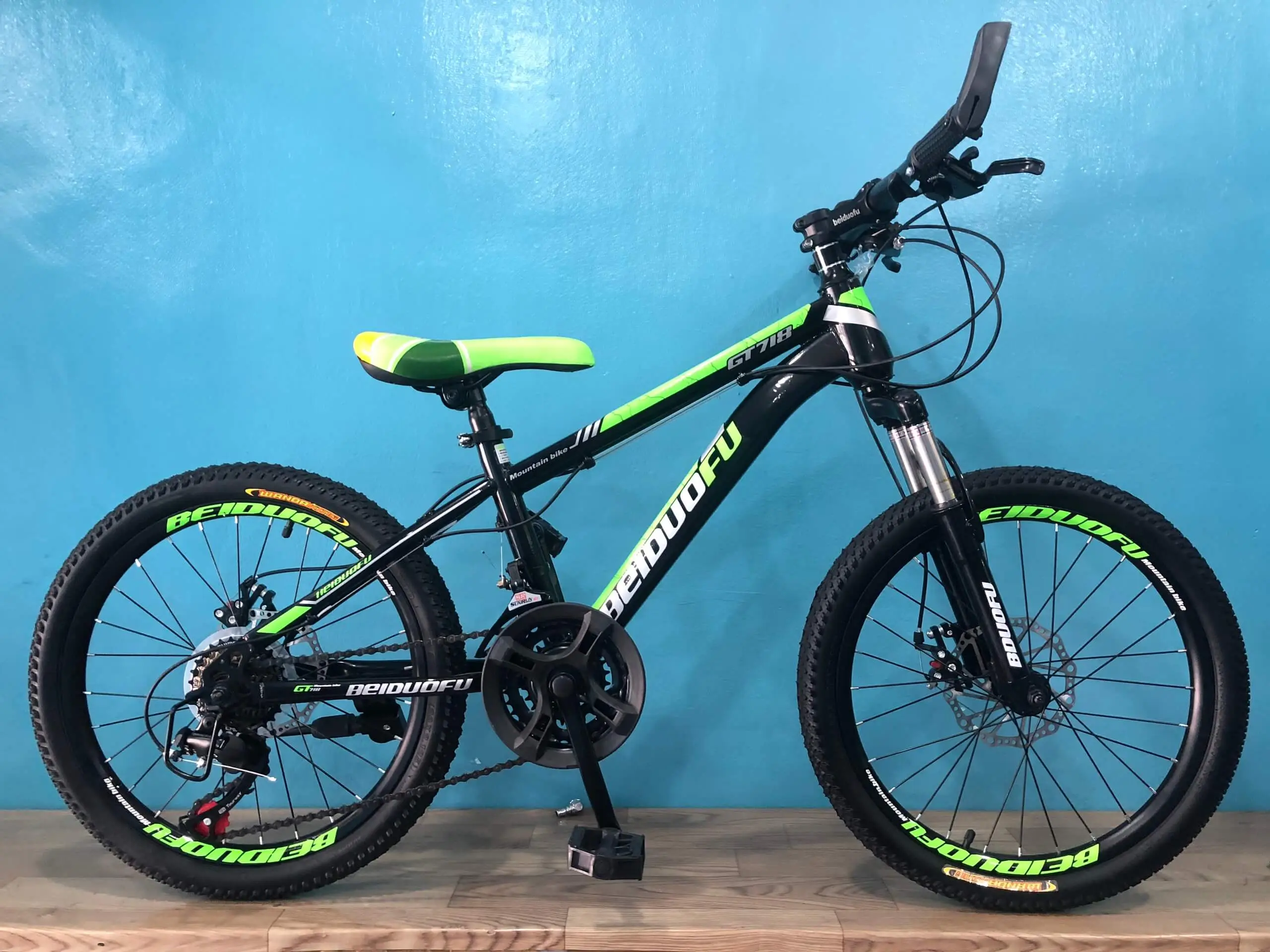 Xe Đạp Trẻ Em 20 Inch Beiduofu 718 Phuộc Nhún - Màu Xanh Lá