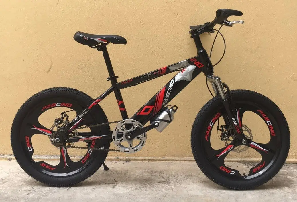 Xe Đạp Trẻ Em 20 Inch FASCINO FS-04 Bánh Mâm - Lá