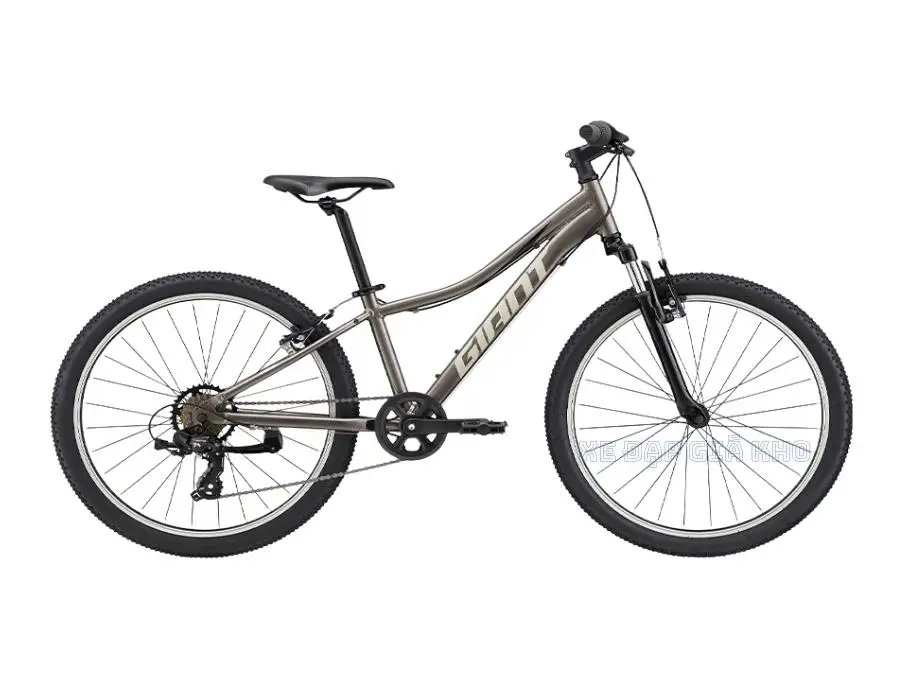 Xe Đạp Trẻ Em Youth GIANT XTC JR 24 2022 - QT
