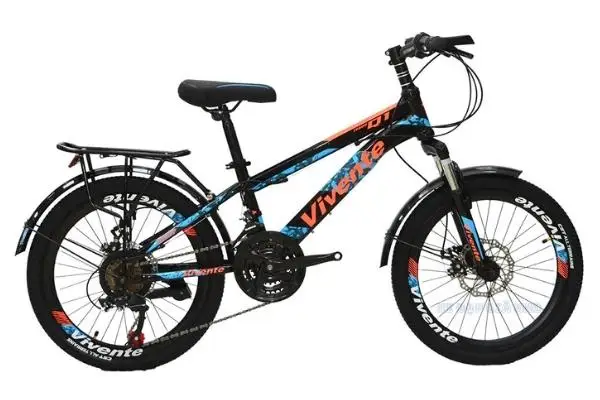 Xe Đạp Trẻ Em 20 Inch Vivente 20Q1 Có Đề