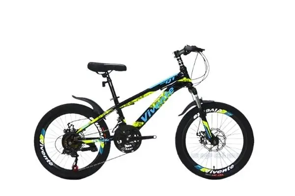 Xe Đạp Trẻ Em 20 Inch Vivente 20Q1 Có Đề