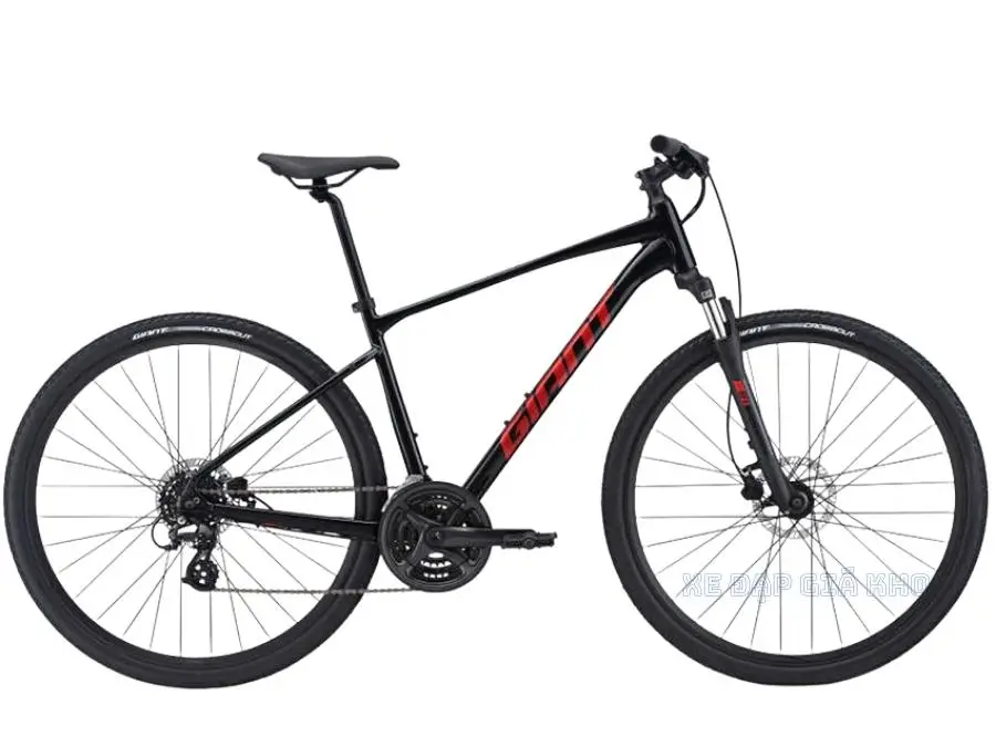 Xe Đạp Địa Hình MTB GIANT Roam 4 Disc 2021 - QT