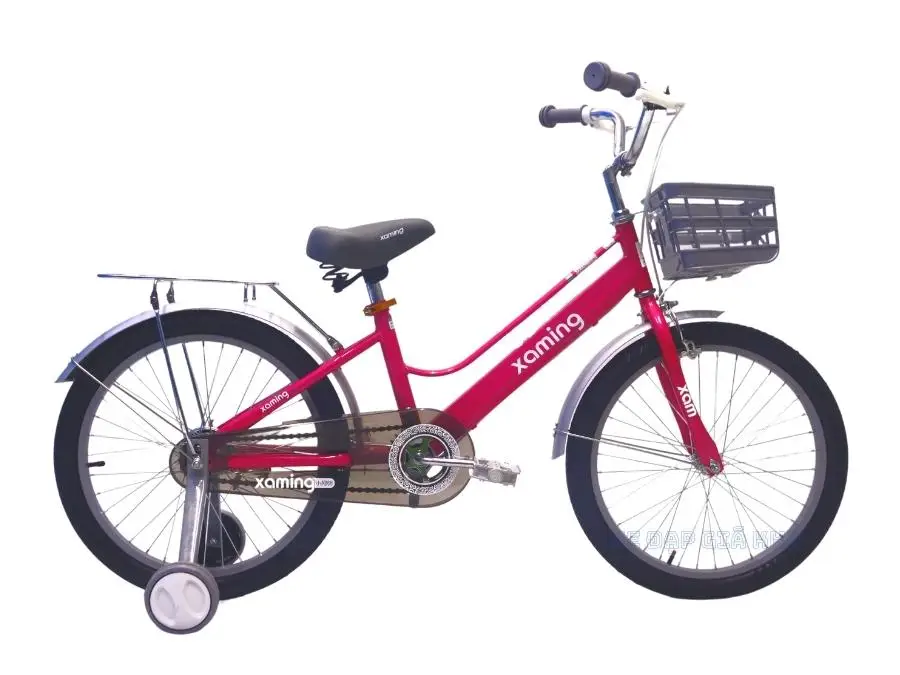 Xe Đạp Cho Bé Gái 20 Inch Xaming Rổ Xám Cao Cấp