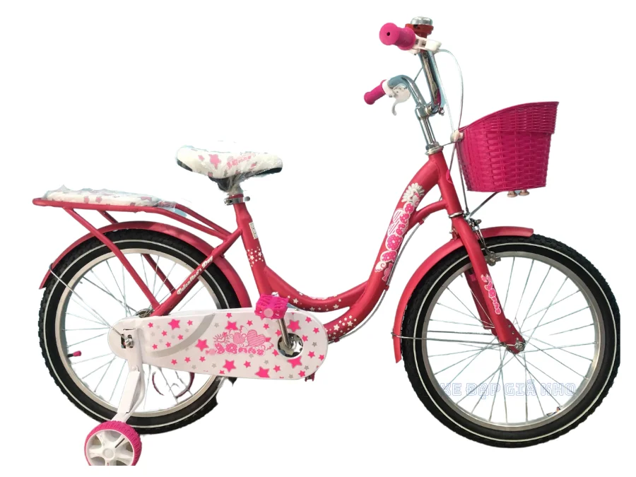 Xe Đạp Trẻ Em 20inch JIQIMAO JQM-11 Nữ Cao Cấp