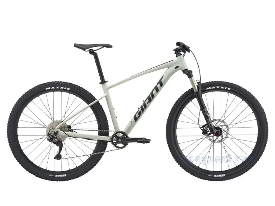 Xe Đạp Địa Hình MTB GIANT Talon 29 1 2021 - QT 1 Xe Đạp Địa Hình MTB GIANT Talon 29 1 2021 - QT