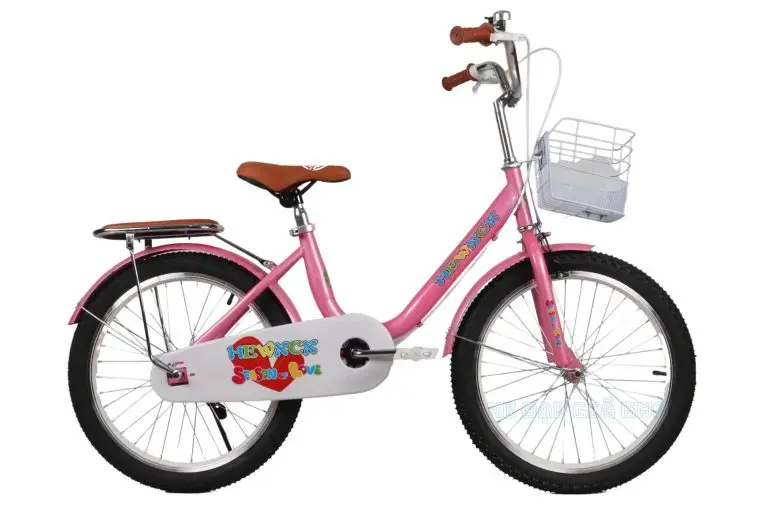 Xe Đạp Trẻ Em 20 Inch HEWXCX
