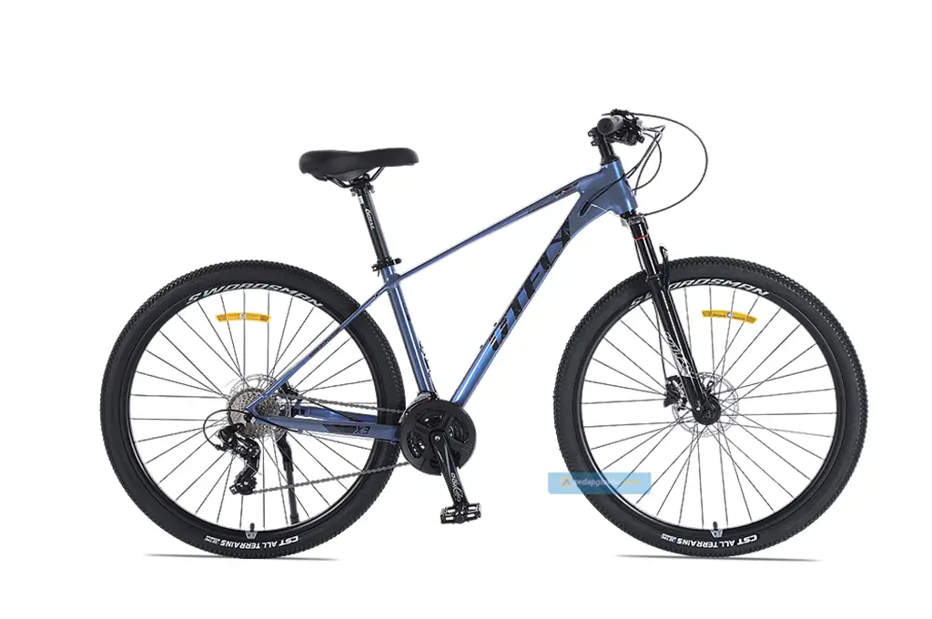 Xe Đạp Địa Hình DTFLY X3 29 Inch - Khung Nhôm | Phanh Dầu | Tay đề Shimano ALTUS Giá Rẻ | Khuyến mãi Hot