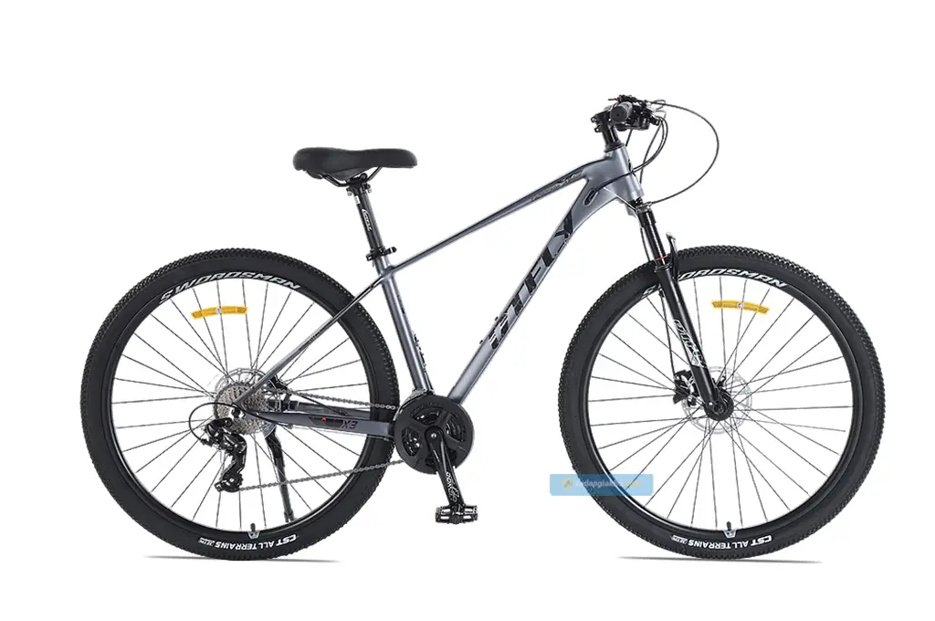 Xe Đạp Địa Hình DTFLY X3 29 Inch - Khung Nhôm | Phanh Dầu | Tay đề Shimano ALTUS Giá Rẻ | Khuyến mãi Hot