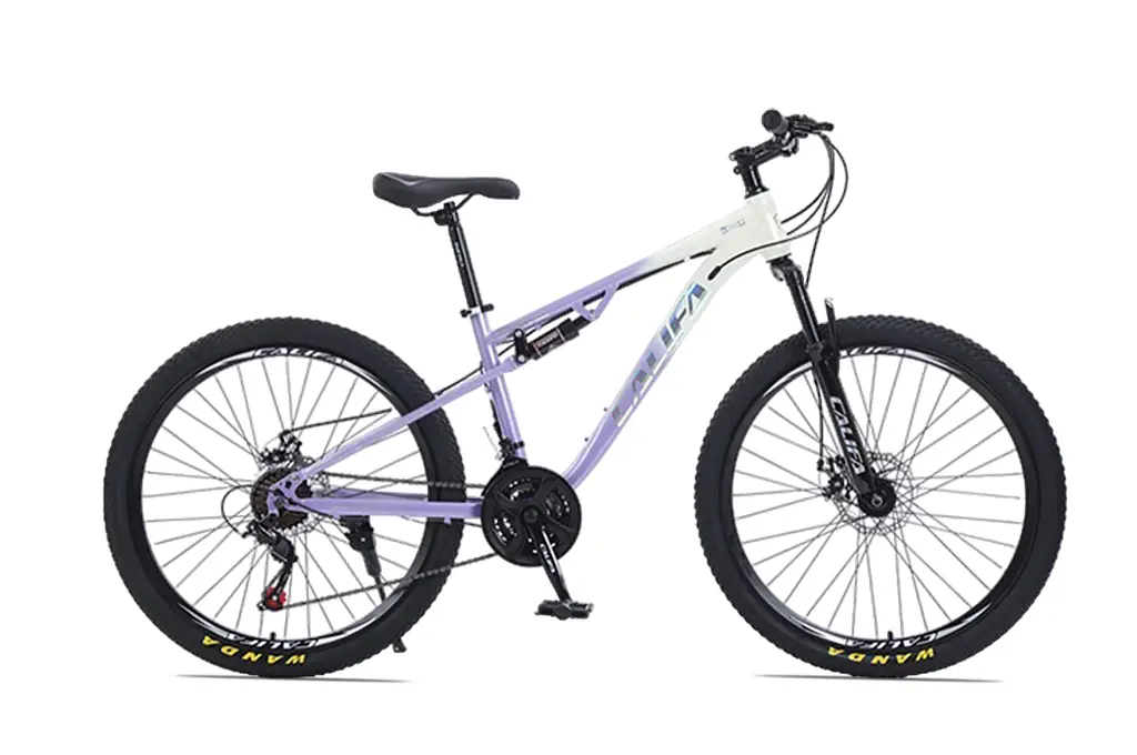 Xe Đạp Địa Hình MTB Califa CS500 26 Inch