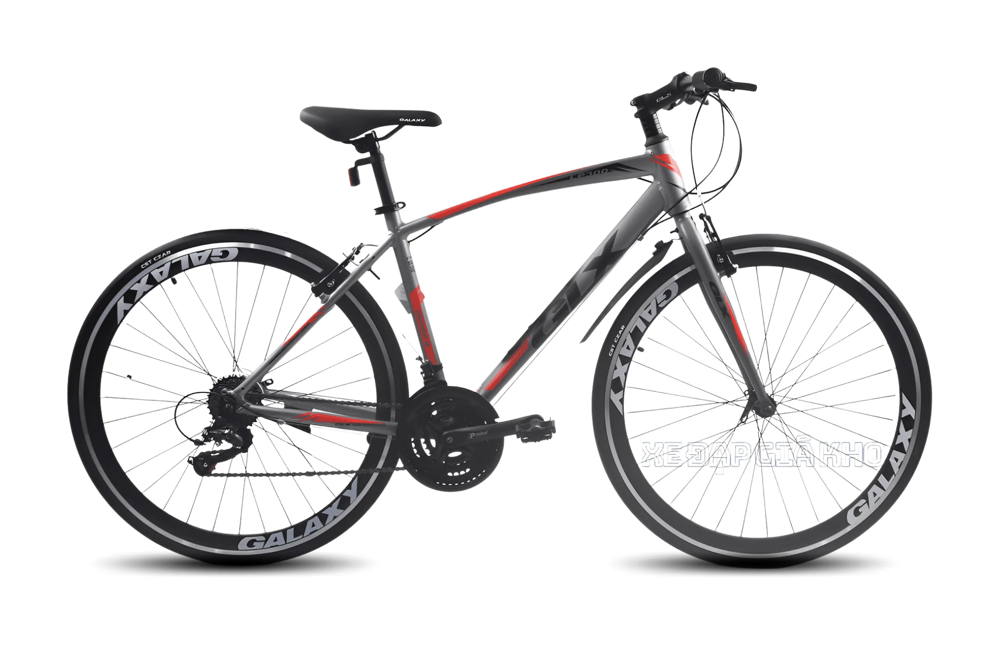 Xe Đạp Touring Galaxy LP300