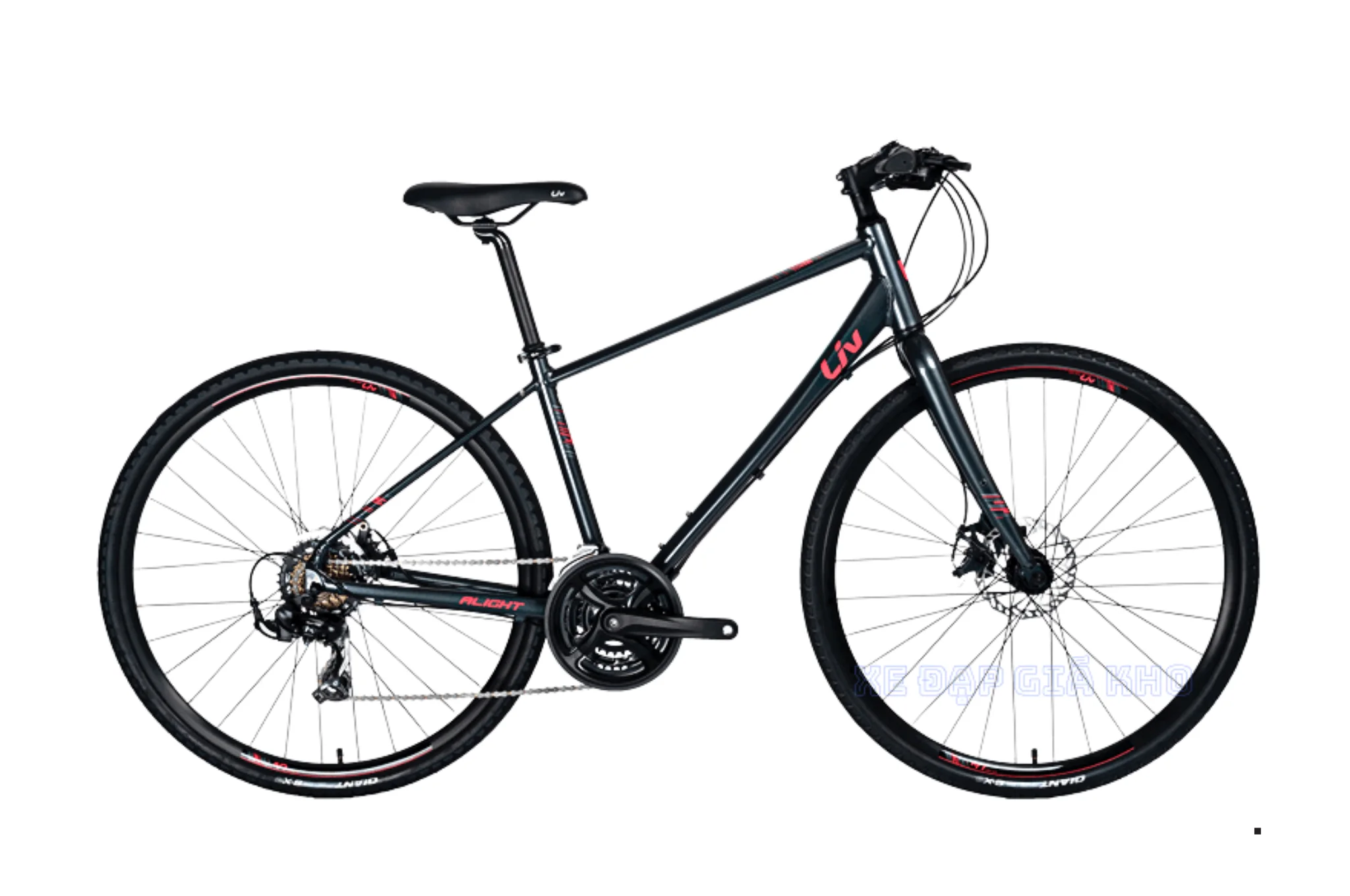 Xe Đạp Touring Liv 2020 Alight 2