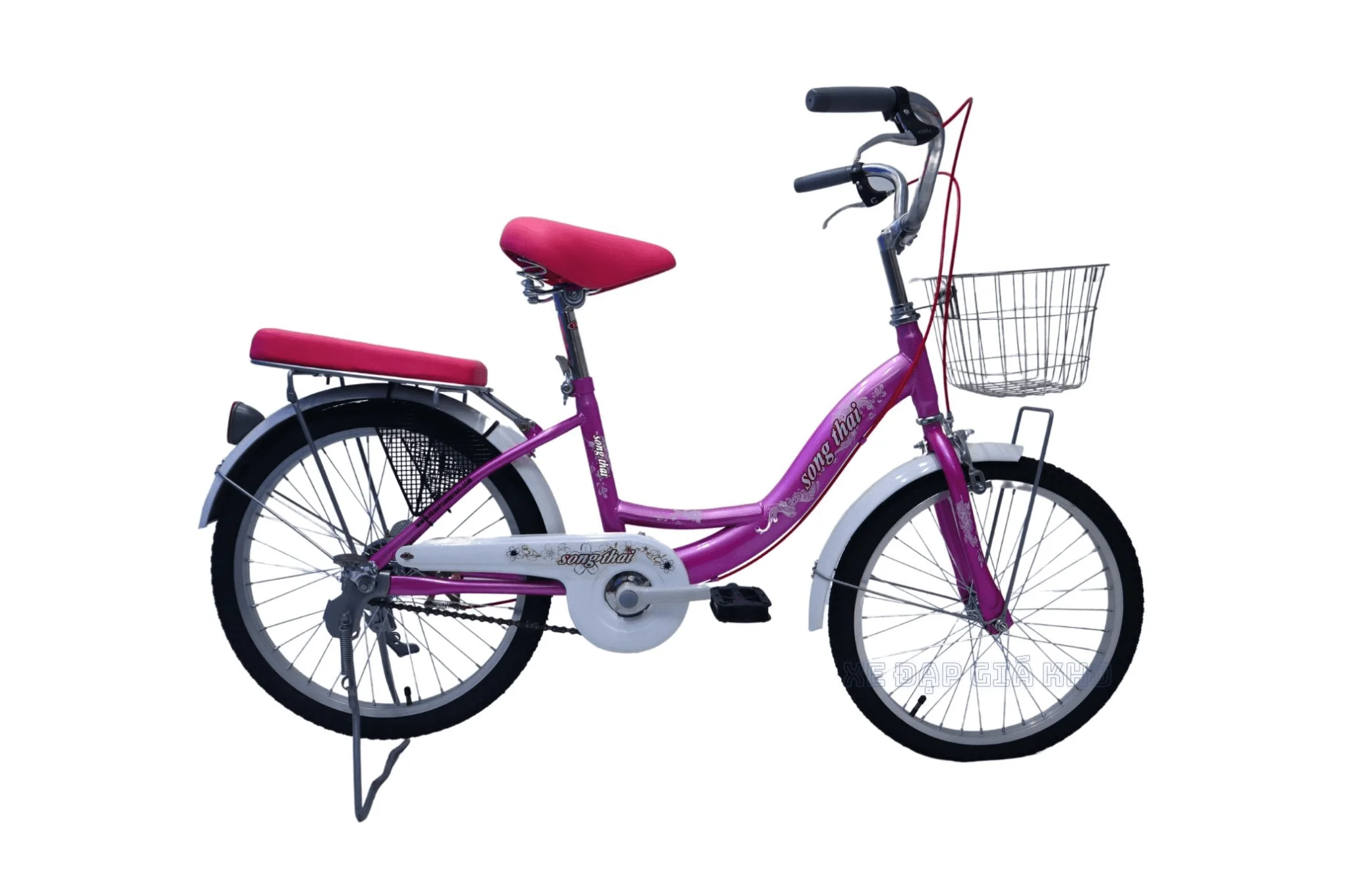 Xe Đạp Trẻ Em Bé Gái 20 Inch Sơn Màu Song Thai