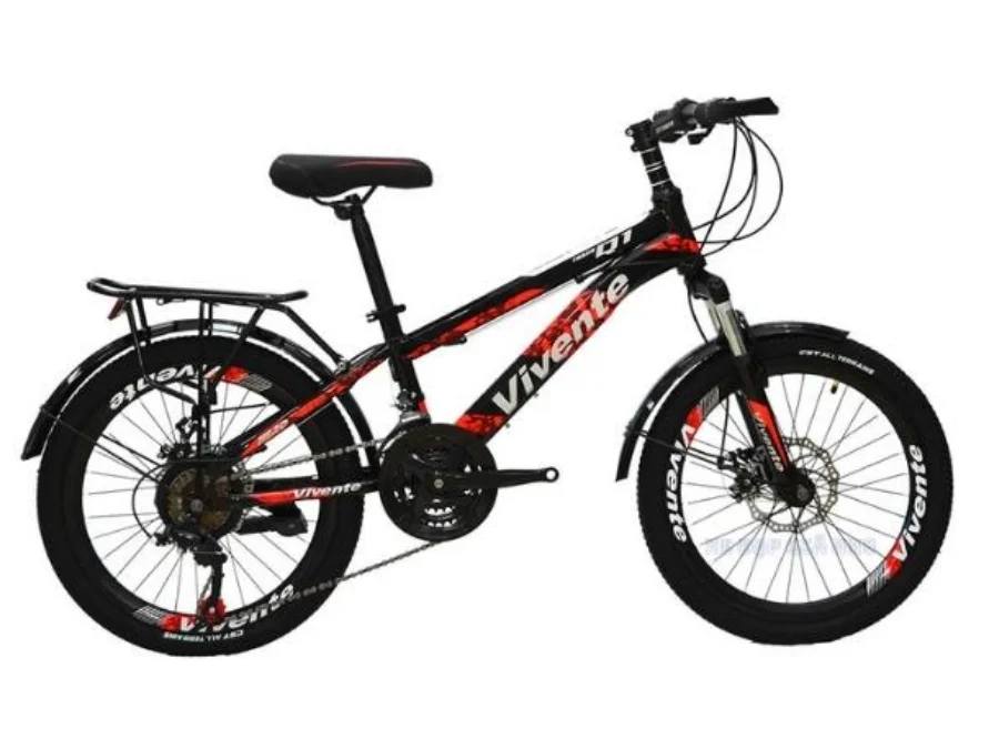 Xe Đạp Trẻ Em 20 Inch Vivente 20Q1 Có Đề