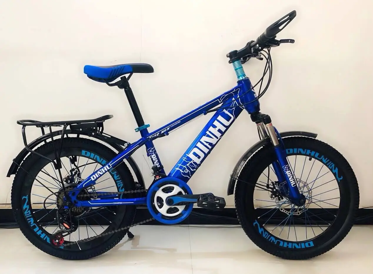 XE ĐẠP TRẺ EM 20 INCH DINHU - NIỀNG CAO BÁNH BỰ - MÀU XANH CHUỐI