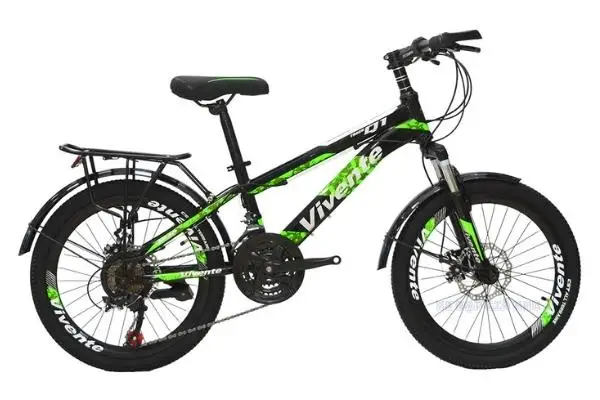 Xe Đạp Trẻ Em 20 Inch Vivente 20Q1 Có Đề