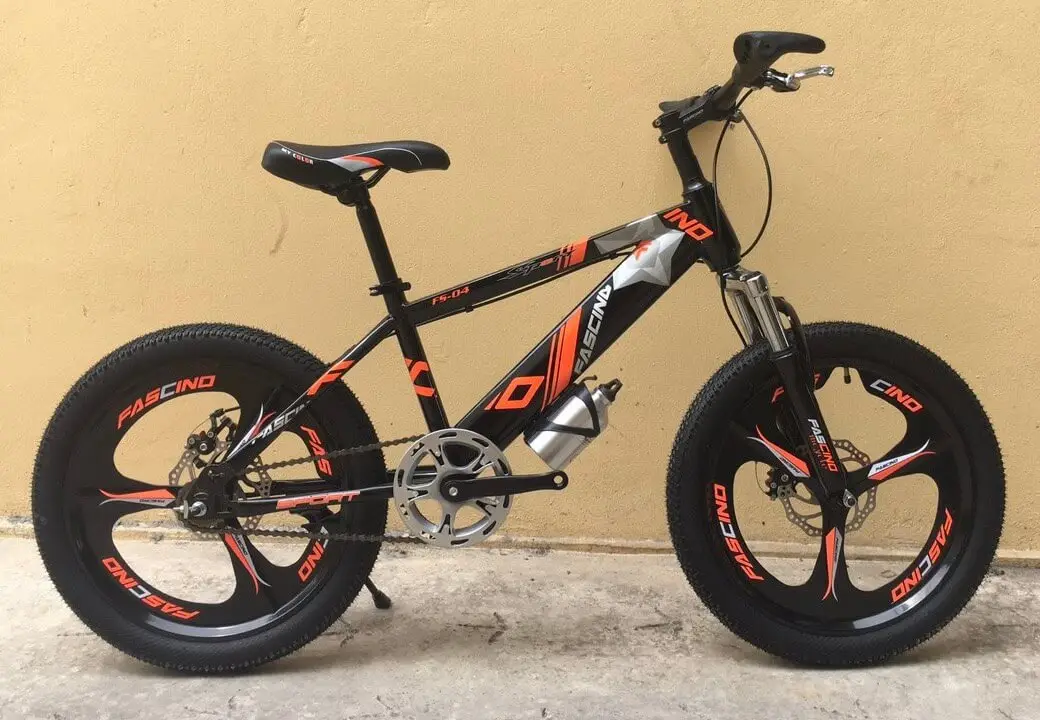 Xe Đạp Trẻ Em 20 Inch FASCINO FS-04 Bánh Mâm - Lá