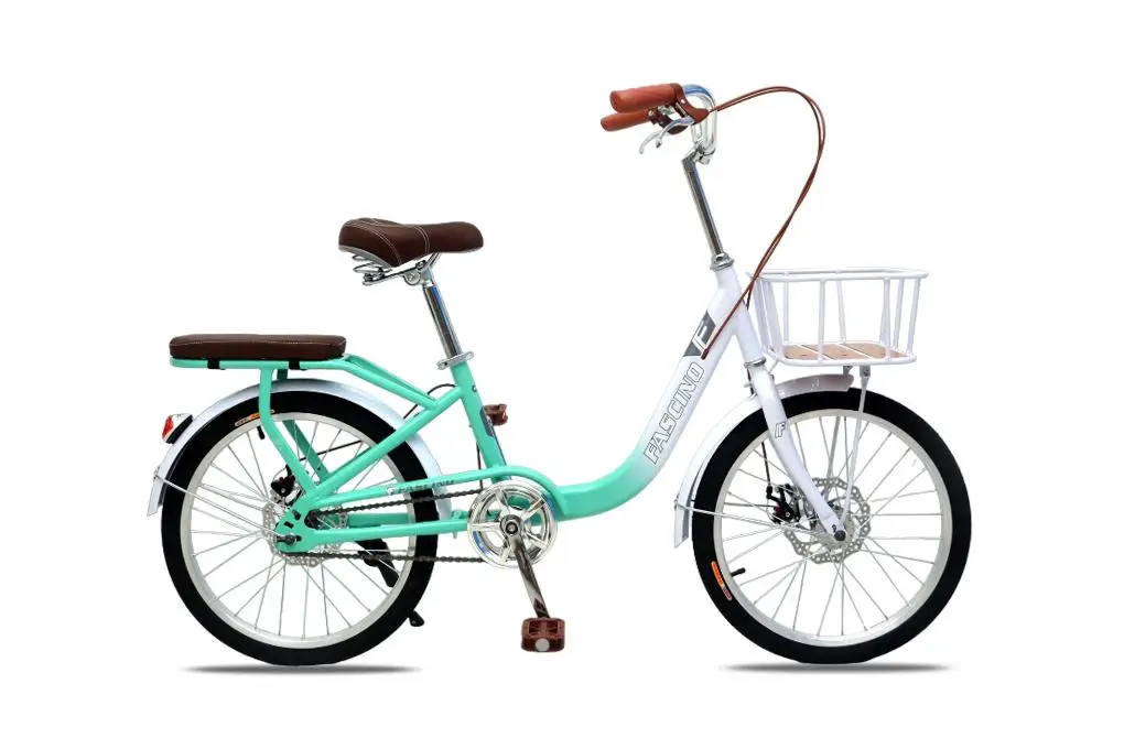 Xe Đạp Trẻ Em Fascino FCD 22 Inch