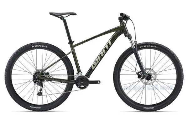 Xe Đạp Địa Hình MTB GIANT Talon 2 2022- QT