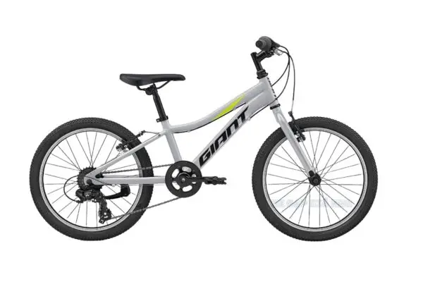Xe Đạp Trẻ Em Youth GIANT XTC JR 20 Lite 2022 - QT