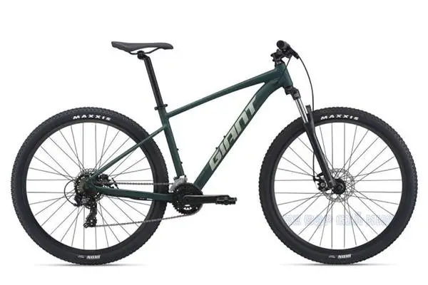 Xe Đạp Địa Hình MTB GIANT Talon 29 4 Phanh Đĩa 2021-QT