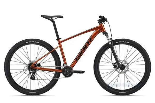Xe Đạp Địa Hình MTB GIANT Talon 29 3 2022 - QT