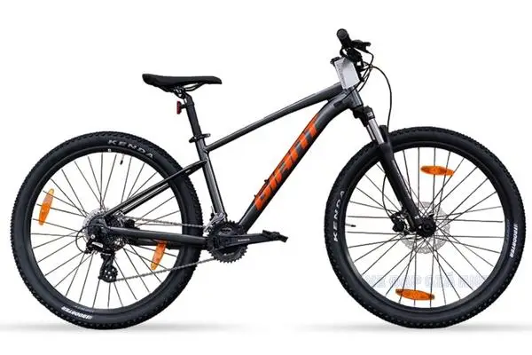 Xe Đạp Địa Hình MTB GIANT Talon 29 3 2022 - QT