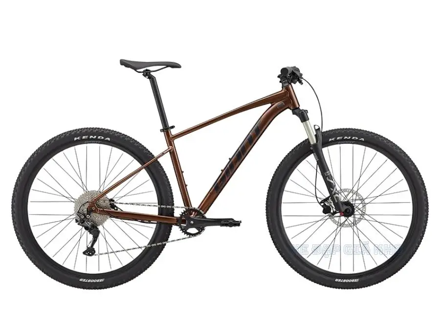 Xe Đạp Địa Hình MTB GIANT Talon 29 1 2022 - QT
