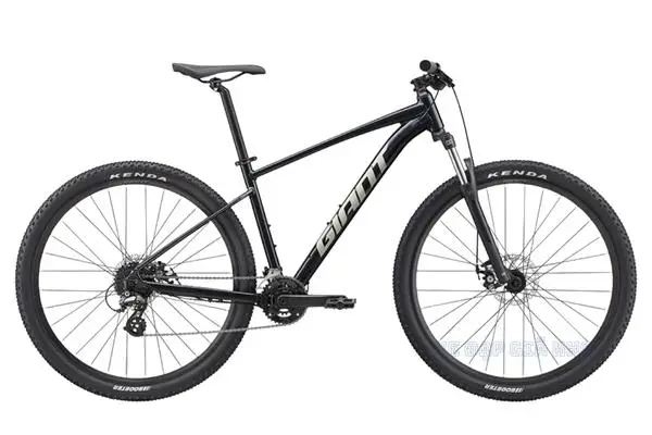 Xe Đạp Địa Hình MTB GIANT Talon 29 4 2022 - QT