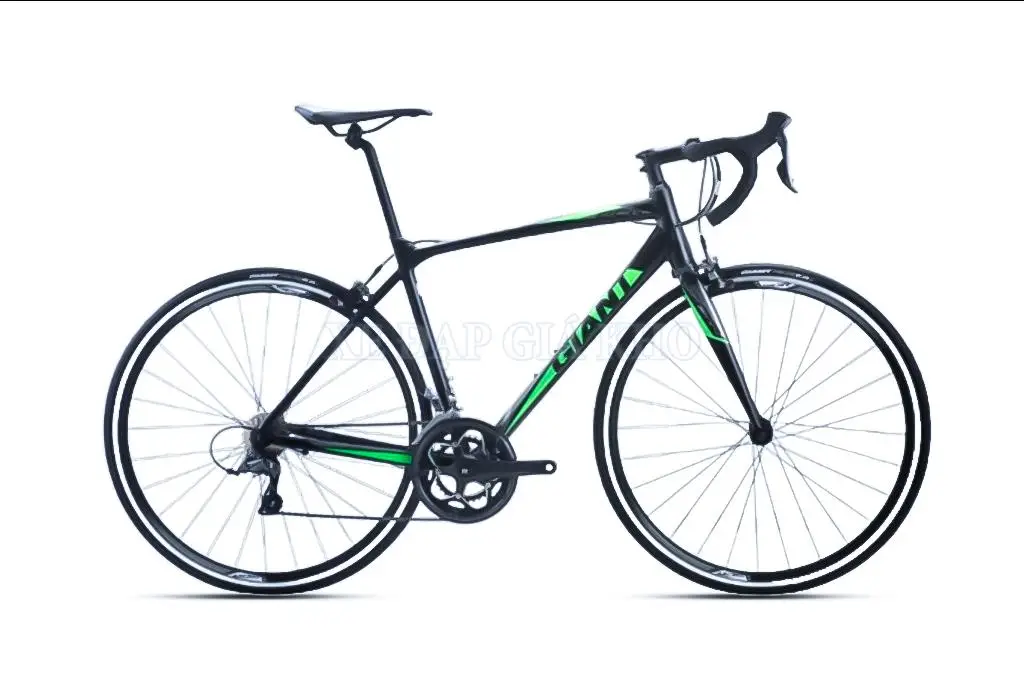 Xe Đạp Đua SCR 2 Giant 2019 - xedapgiakho