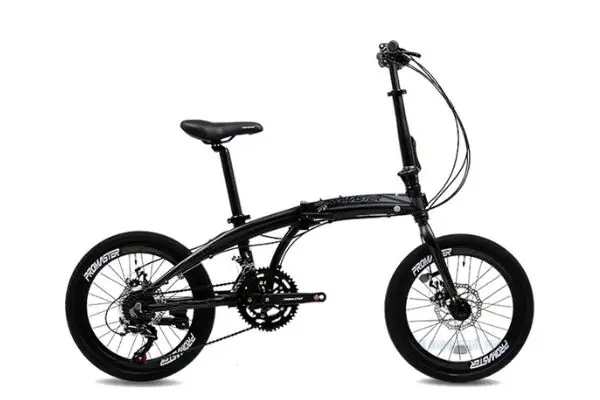 Xe Đạp Gấp Promaster F16 Khung Nhôm 20 Inch 2 Xe Đạp Gấp Promaster F16 Khung Nhôm 20 Inch