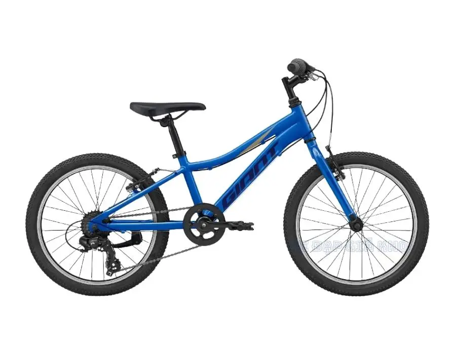 Xe Đạp Trẻ Em Youth GIANT XTC JR 20 Lite 2022 - QT