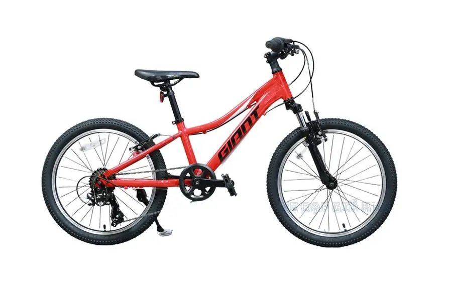 Xe Đạp Trẻ Em Youth GIANT XTC Jr 20 2021 - QT