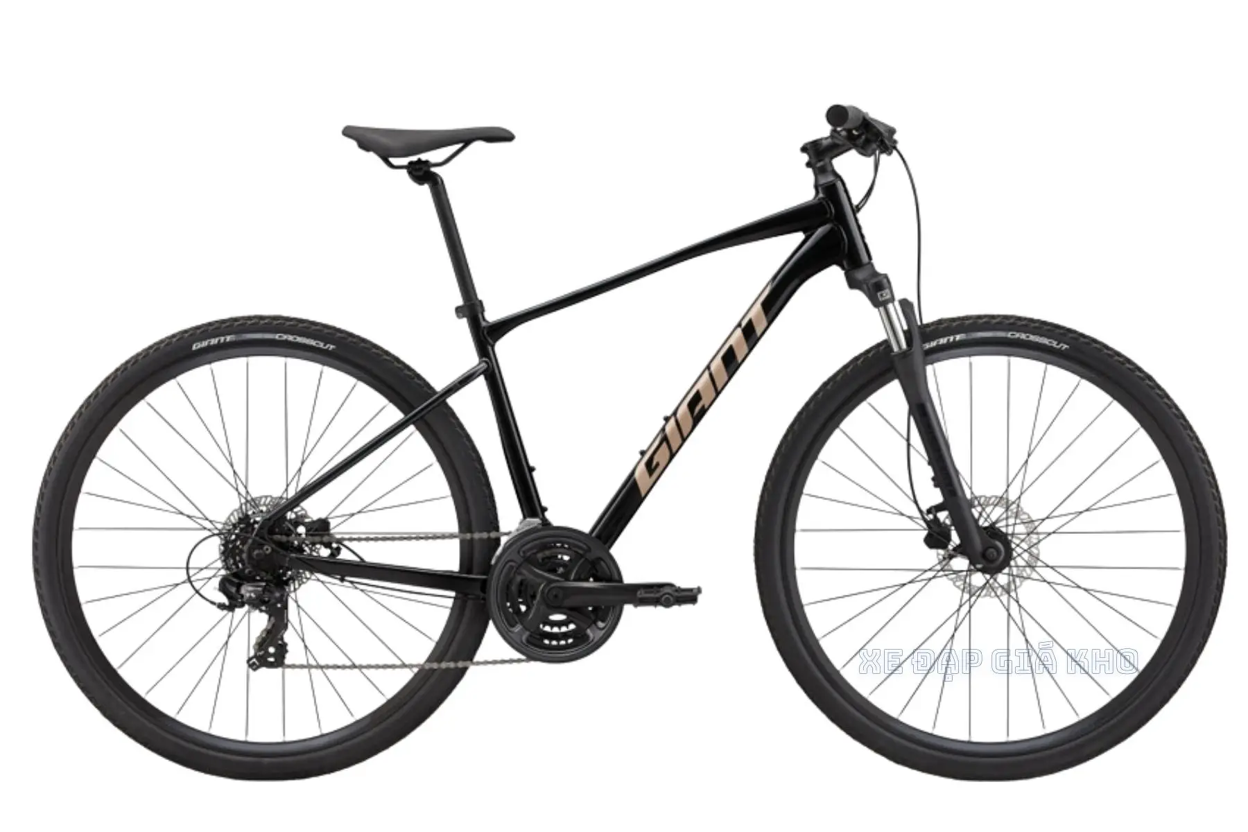 Xe Đạp Địa Hình MTB GIANT Roam 4 Disc 2022 - QT