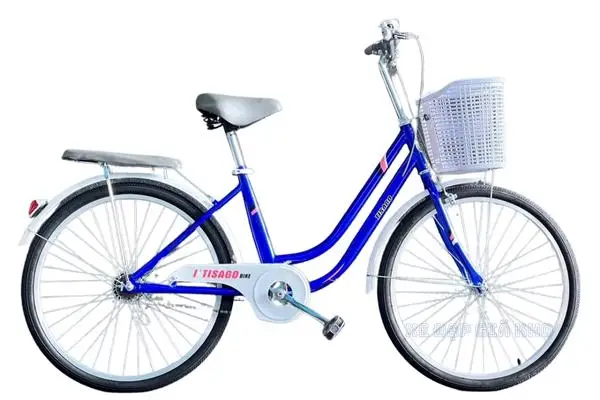 Xe Đạp Phổ Thông 24 Inch Tisago TL05 Kiểu Dáng Thân Thiện