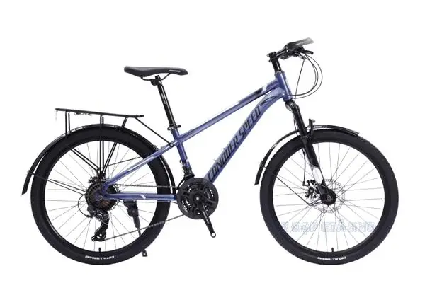 Xe Đạp Thể Thao Conquer Speed Baga 24 Inch