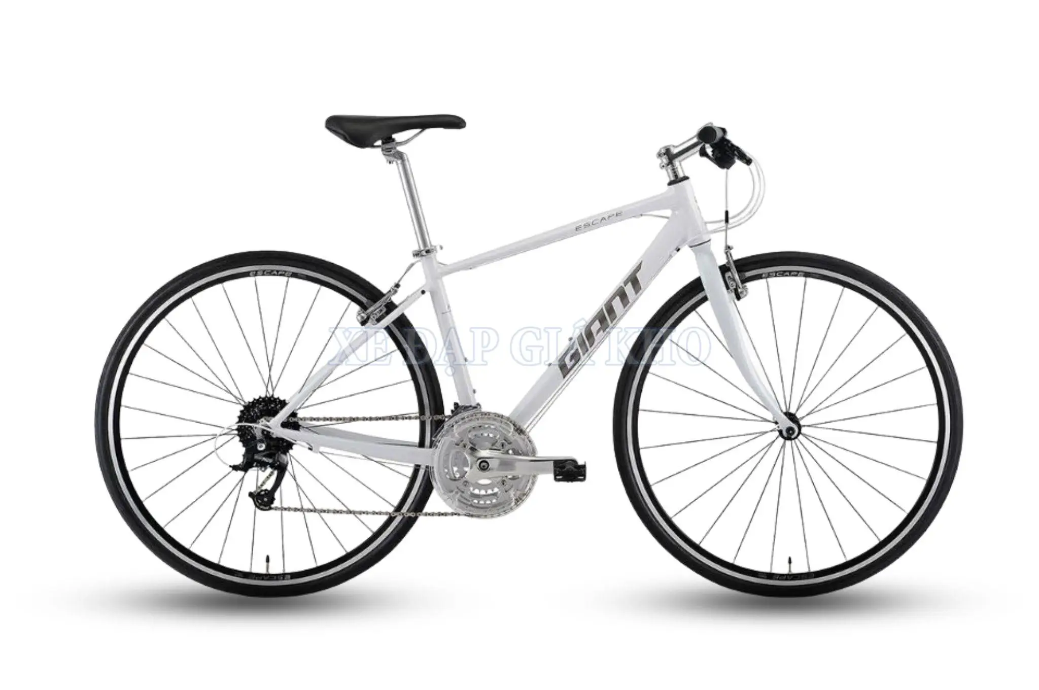 Xe Đạp Touring Giant Escape R3 MS Bánh 700C
