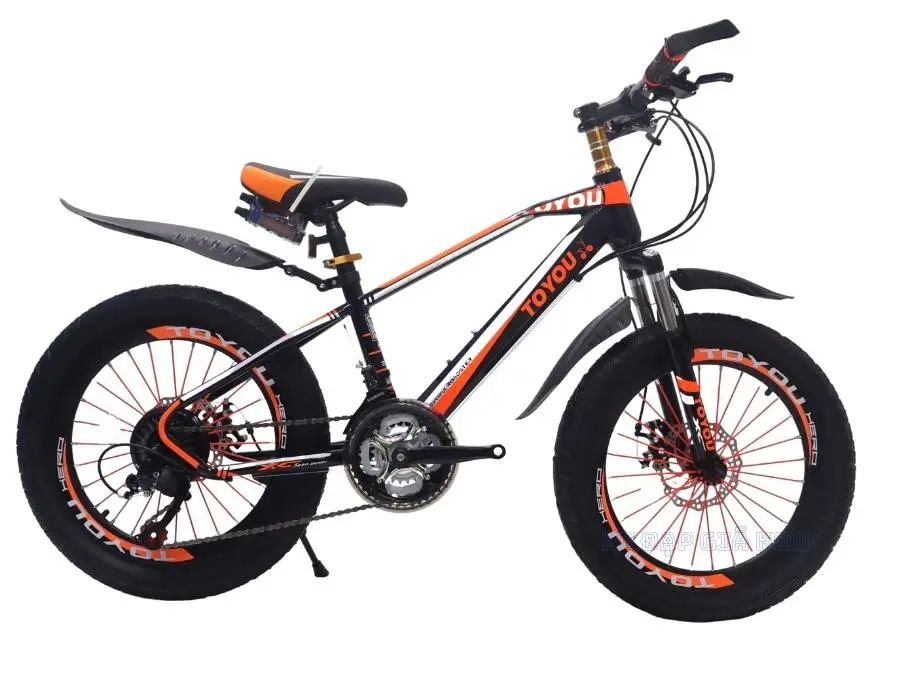 Xe Đạp Trẻ Em 20 Inch TOYOU Ty - 27 Có Đề Bánh Béo