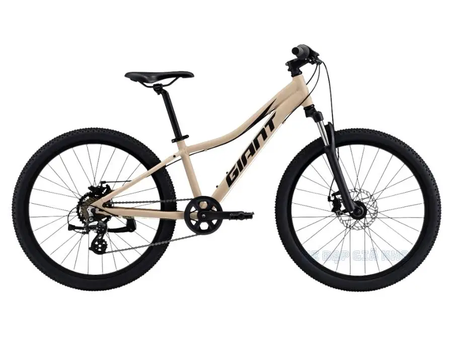 Xe Đạp Trẻ Em Youth GIANT XTC JR Disc 24 2022 - QT 1 Xe Đạp Trẻ Em Youth GIANT XTC JR Disc 24 2022 - QT