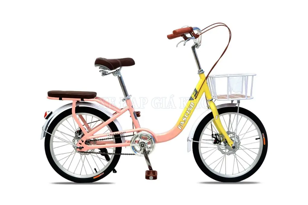 Xe Đạp Trẻ Em Fascino FCD 22 Inch