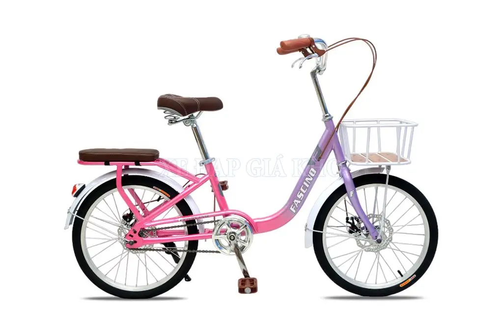 Xe Đạp Trẻ Em Fascino FCD 22 Inch