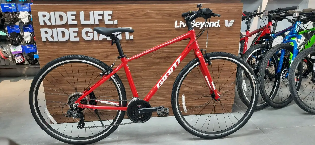 Xe Đạp Thể Thao 700c GIANT ESCAPE 3-E 2021 1 Xe Đạp Thể Thao 700c GIANT ESCAPE 3-E 2021