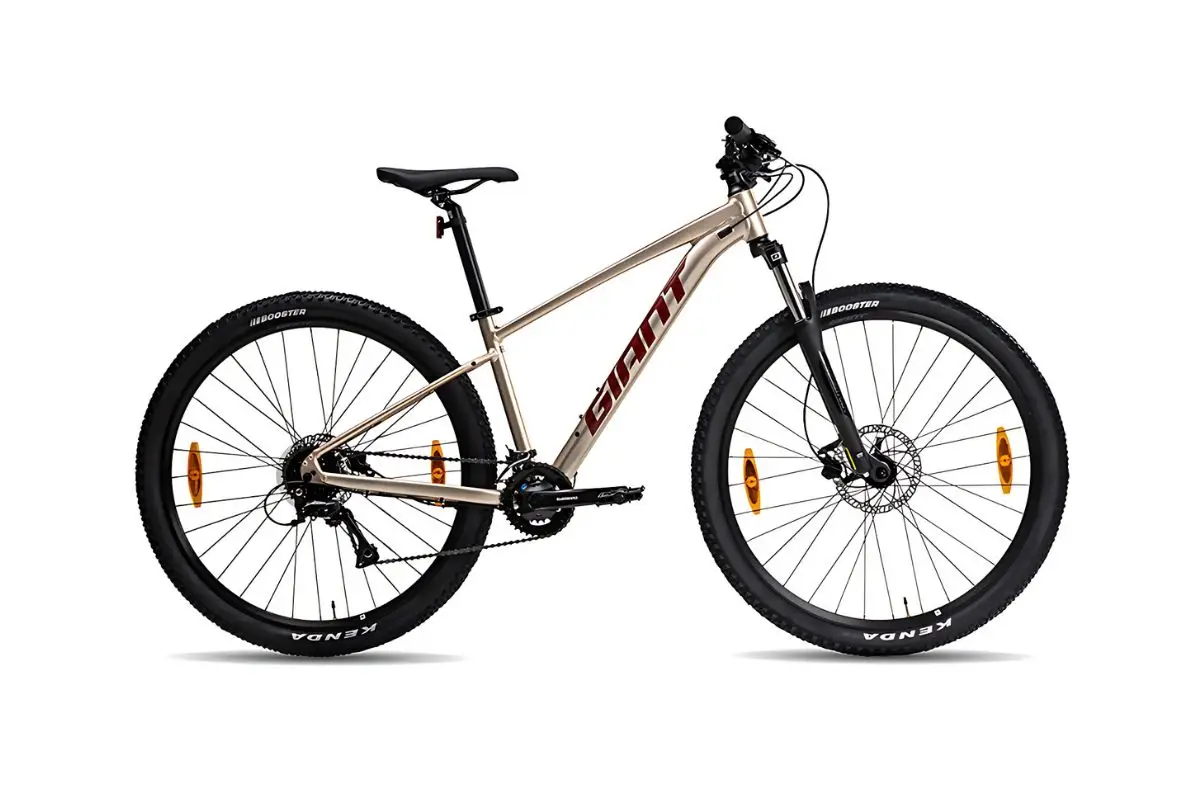 Xe Đạp Địa Hình MTB Giant Talon 3 29 Inch 1 Xe Đạp Địa Hình MTB Giant Talon 3 29 Inch 2024