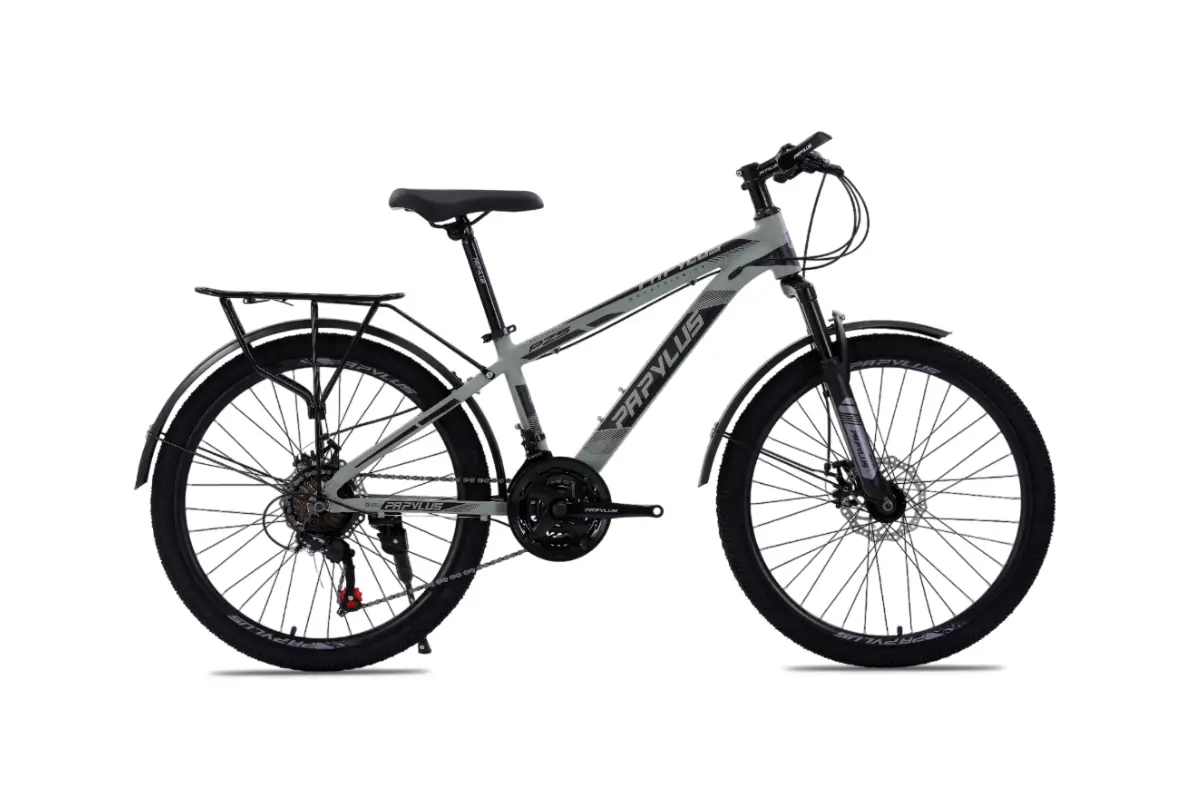 Xe Đạp Địa Hình MTB Papylus PZ5 24 Inch màu Ghi đen