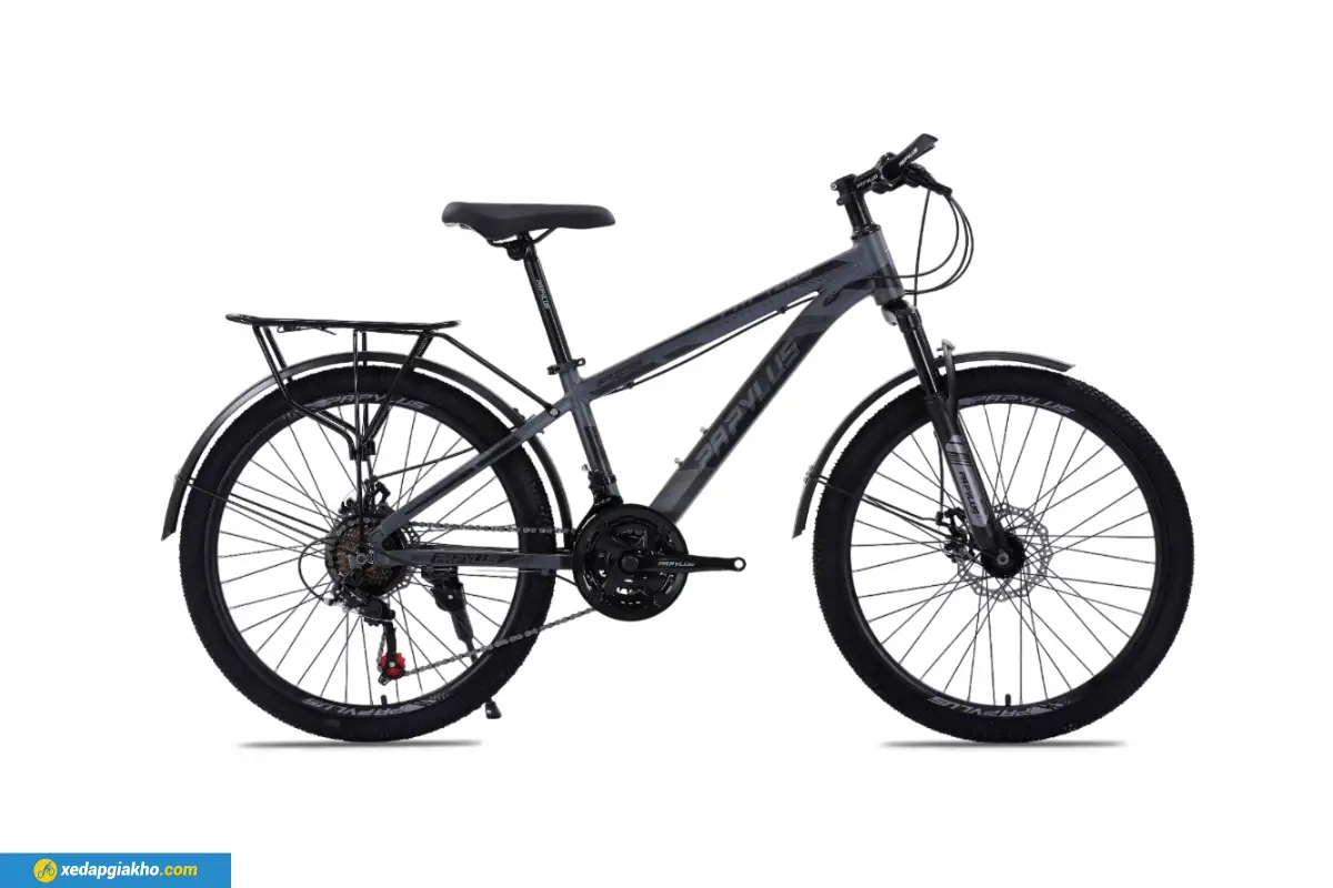 Xe Đạp Địa Hình MTB Papylus PZ5 24 Inch màu xám đen