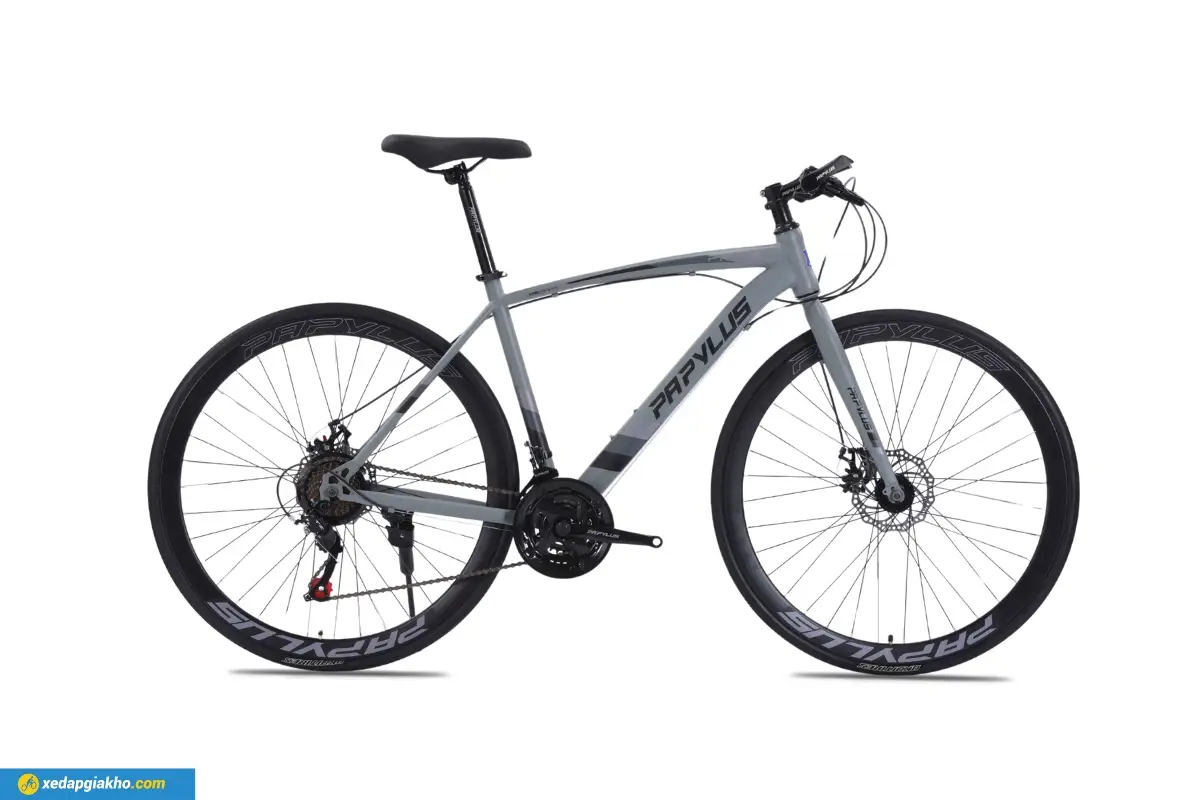 Xe Đạp Touring Papylus PT500 màu ghi