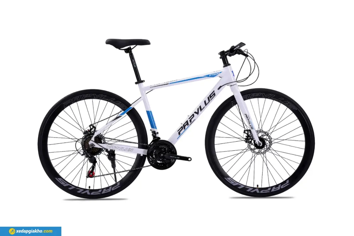 Xe Đạp Touring Papylus PT600 màu trắng xanh
